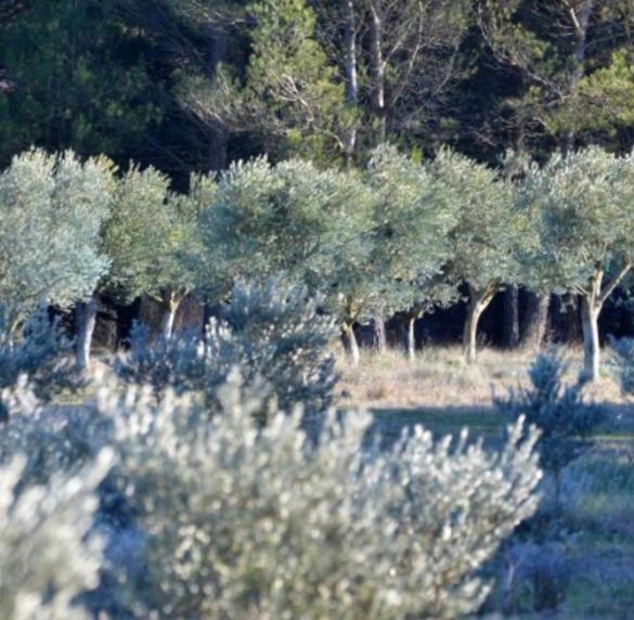Hotel Les Cabanons Sainte Victoire Exteriér fotografie